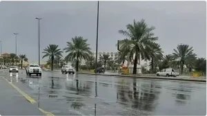 الأرصاد تحذر من سيول وصواعق مدمرة تراقب الباحة في 11 منطقة مؤكدةً ضرورة الاستعداد